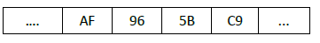 petit_boutisme_2.png