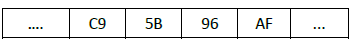 gros_boutisme_2.png