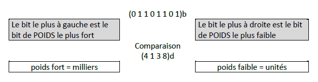 octet.png