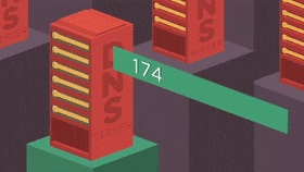 dns.gif