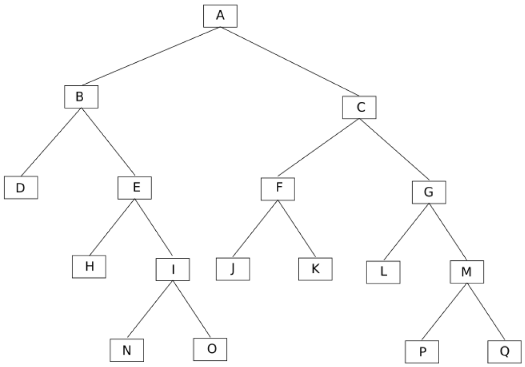 arbre_1