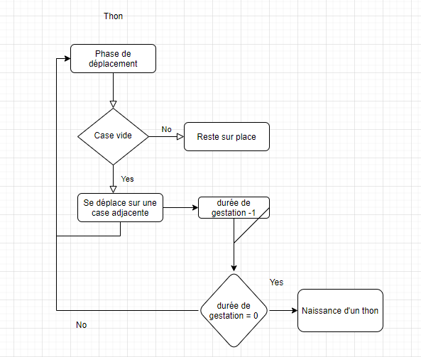 Algorithme_thon