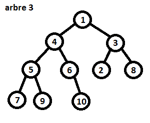Arbre 3