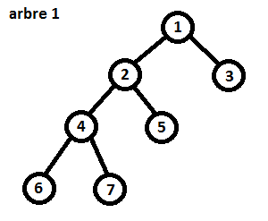 Arbre 1