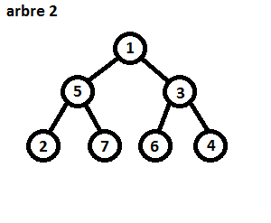 Arbre 2