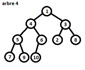 Arbre 4